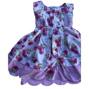 Vintage Blueberi Boulevard Girls Sz 12 Months Floral Dress Pink Red Rose
